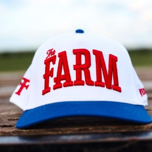 Red white and blue hat